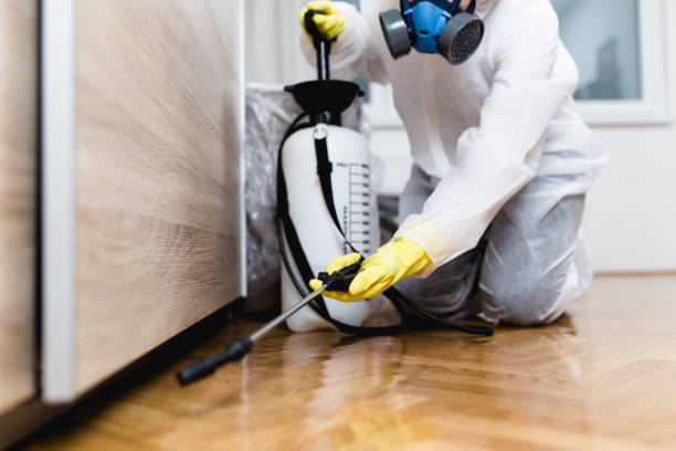 Best Emergency Pest Control  in Florence, AL