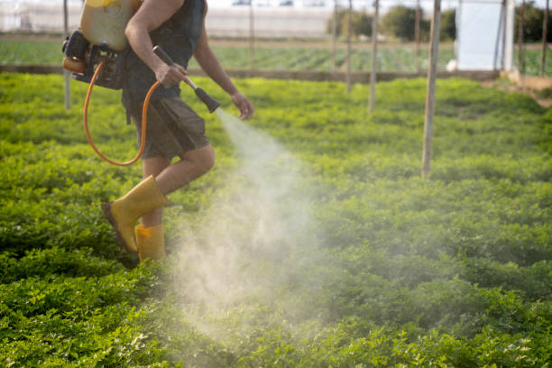 Pest Control for Restaurants in Florence, AL