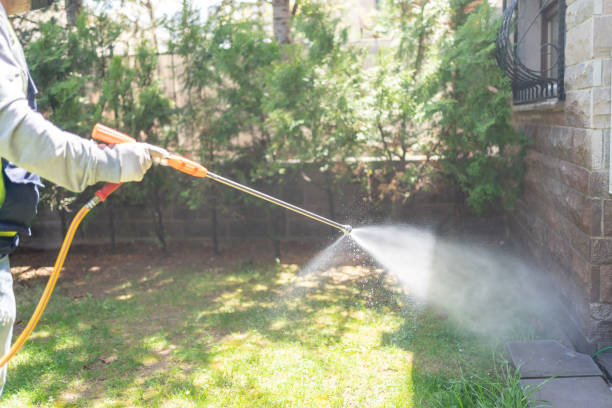 Best Pest Prevention Services  in Florence, AL