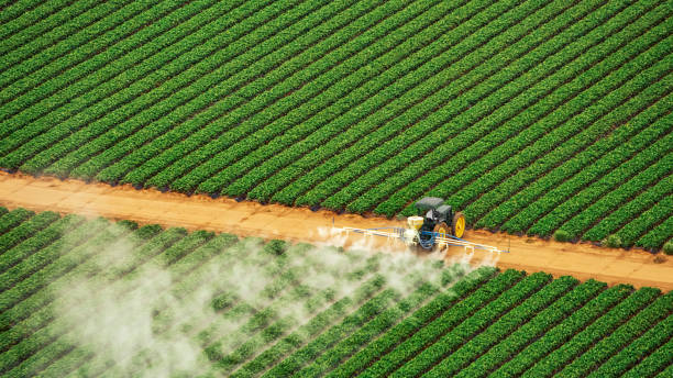 Best Pest Control Near Me in Florence, AL
