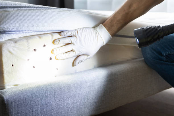 Trusted Florence, AL Pest Control Experts