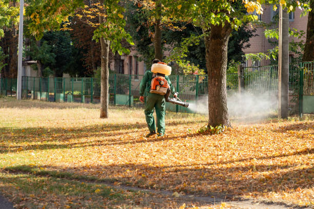 Best Rodent Control Near Me  in Florence, AL