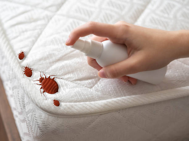 Best Insect Control  in Florence, AL