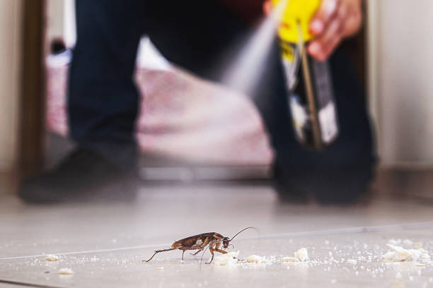 Best Pest Removal Services  in Florence, AL