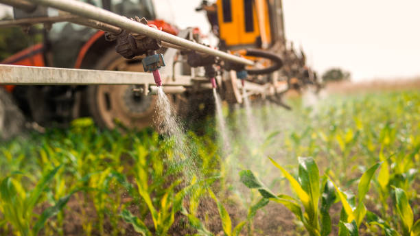 Best Commercial Pest Control Services  in Florence, AL